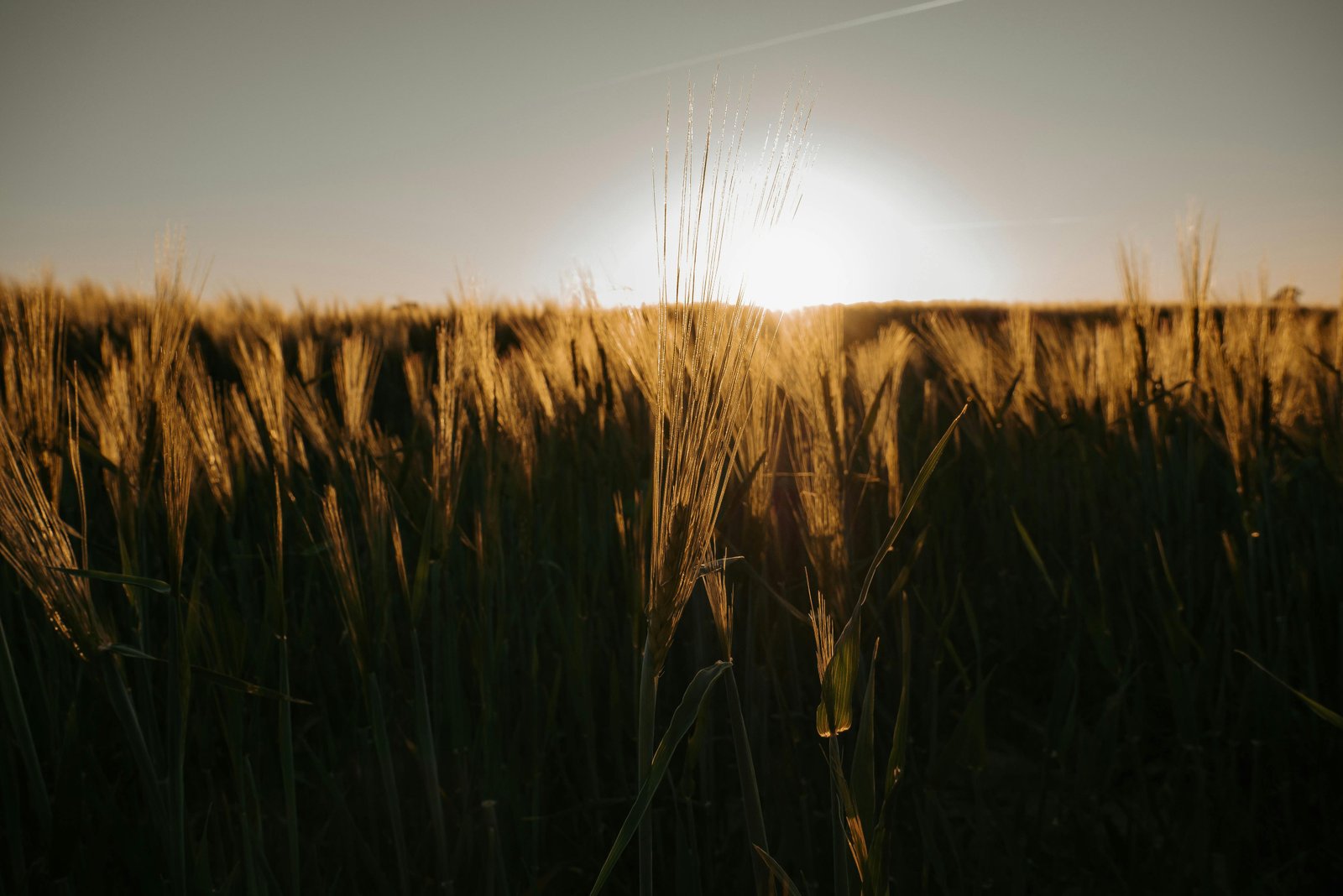 Benim Hikâyem: Toprakla Geçen Bir Ömür