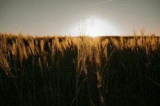 Benim Hikâyem: Toprakla Geçen Bir Ömür